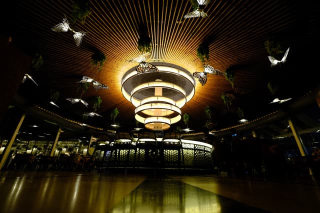 Gallery image 350